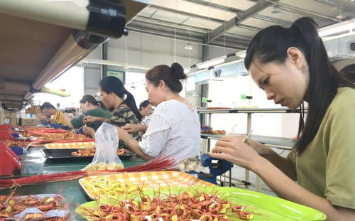 10月29日,平樂(lè)這場(chǎng)招聘會(huì)不容錯(cuò)過(guò)