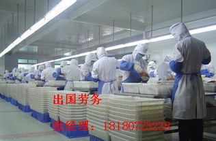 澳洲堅果報價 廠家